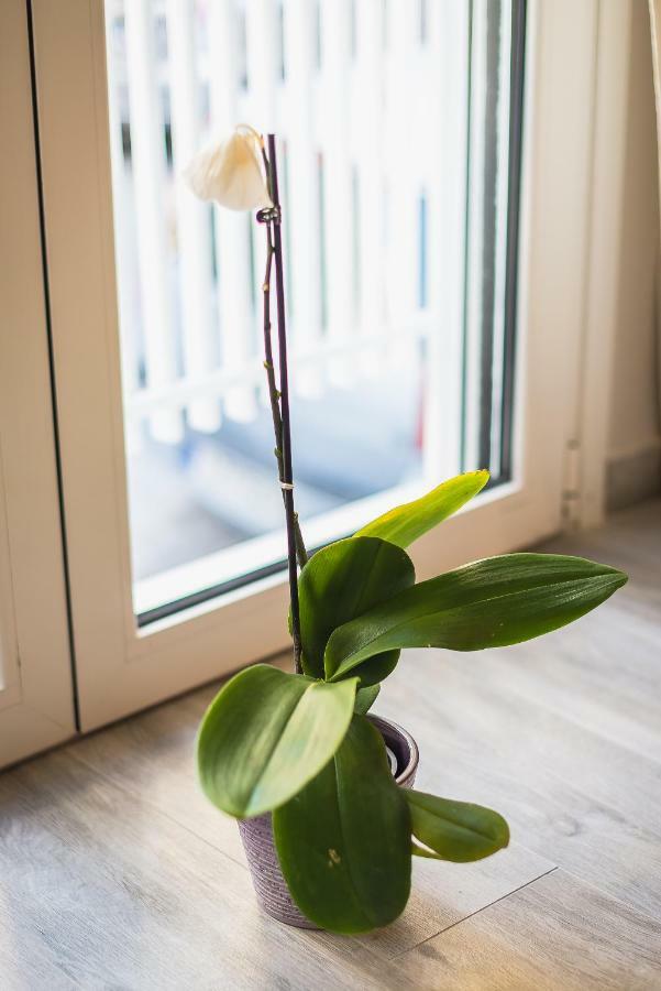"Sunbow Earth"- Boutique New Apt In Dowtown Афины Экстерьер фото